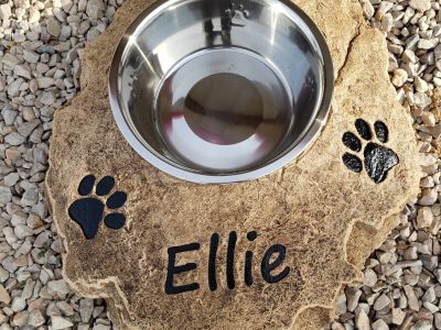 Custom Engraved Pet Bowl