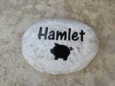 Custom Pet Memorial Stone Engraving Project